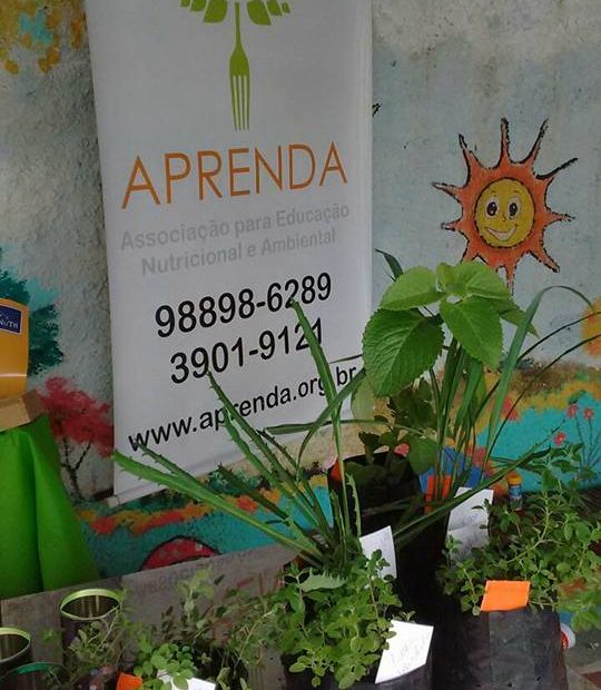 Imagem representando alguns dos projetos e ações