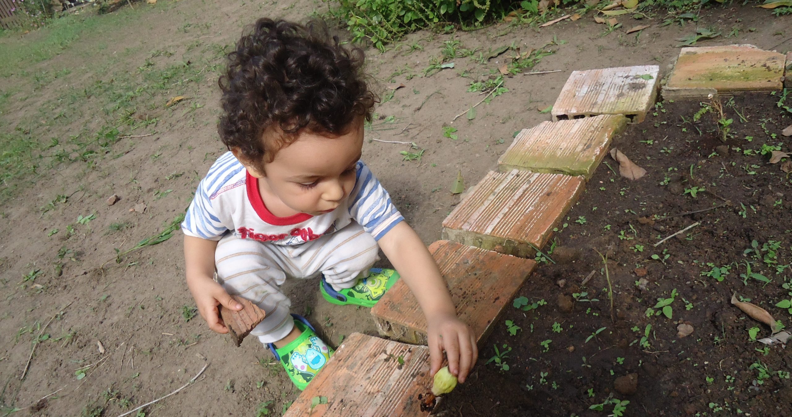 Imagem principal da Página Inicial da APRENDA